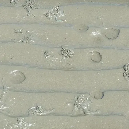 Ferienwohnung Strandgut * Busum